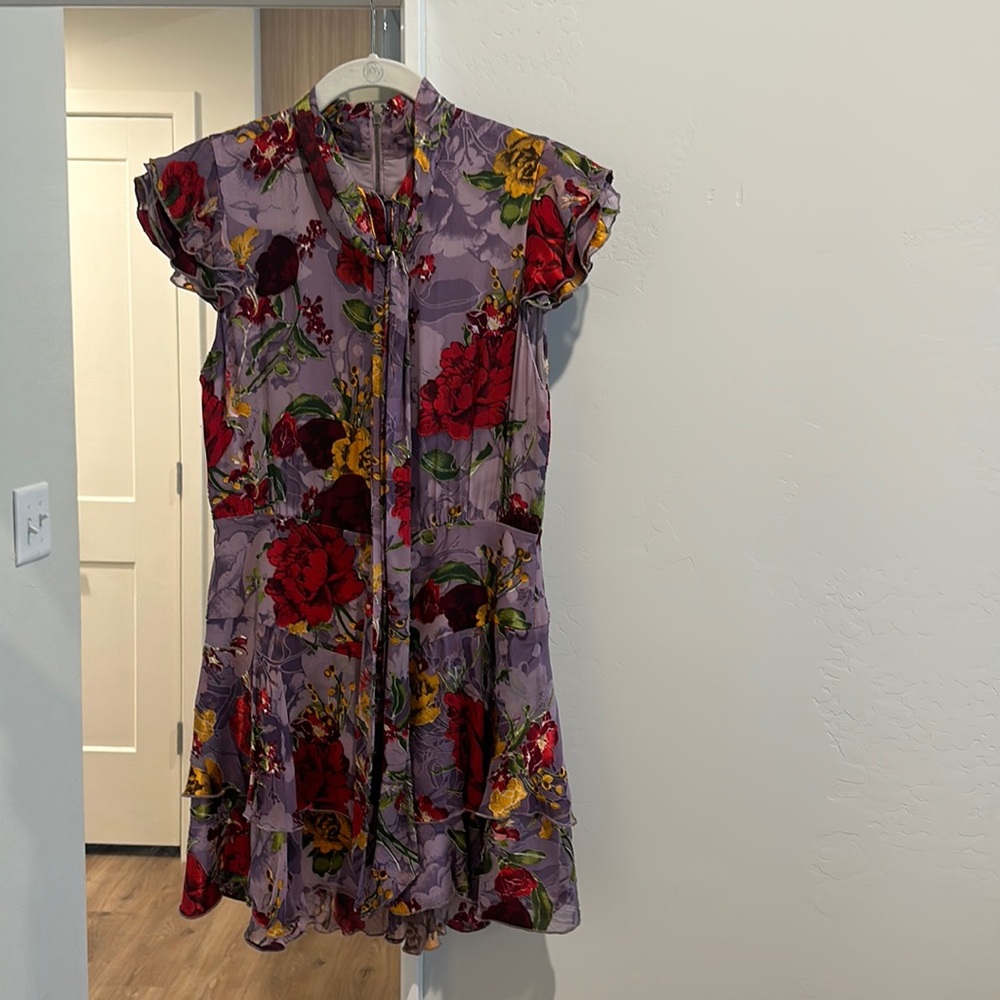 Alice and Olivia dress- absolutely adorable.